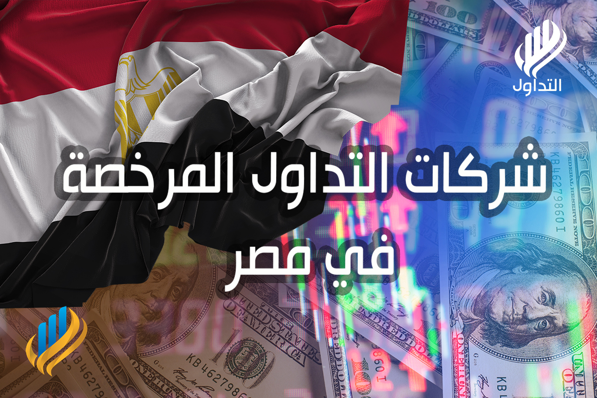 شركات تداول مرخصة في مصر